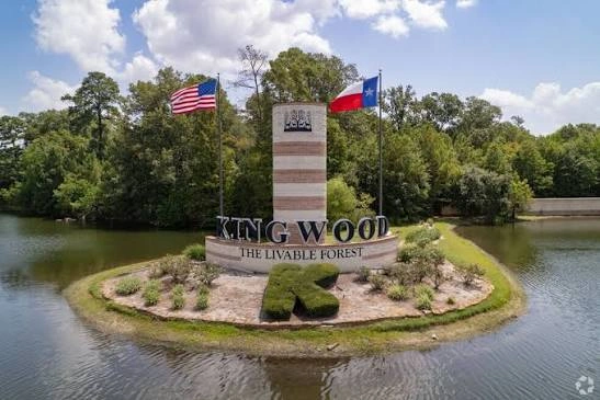 Luxury transportation in Kingwood, Texas